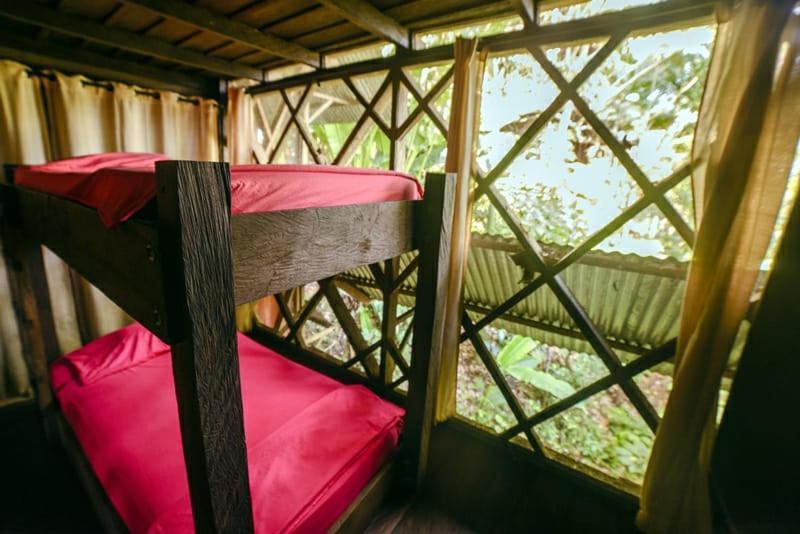 Хостел Ayahuasca Пуэрто-Наринио Экстерьер фото