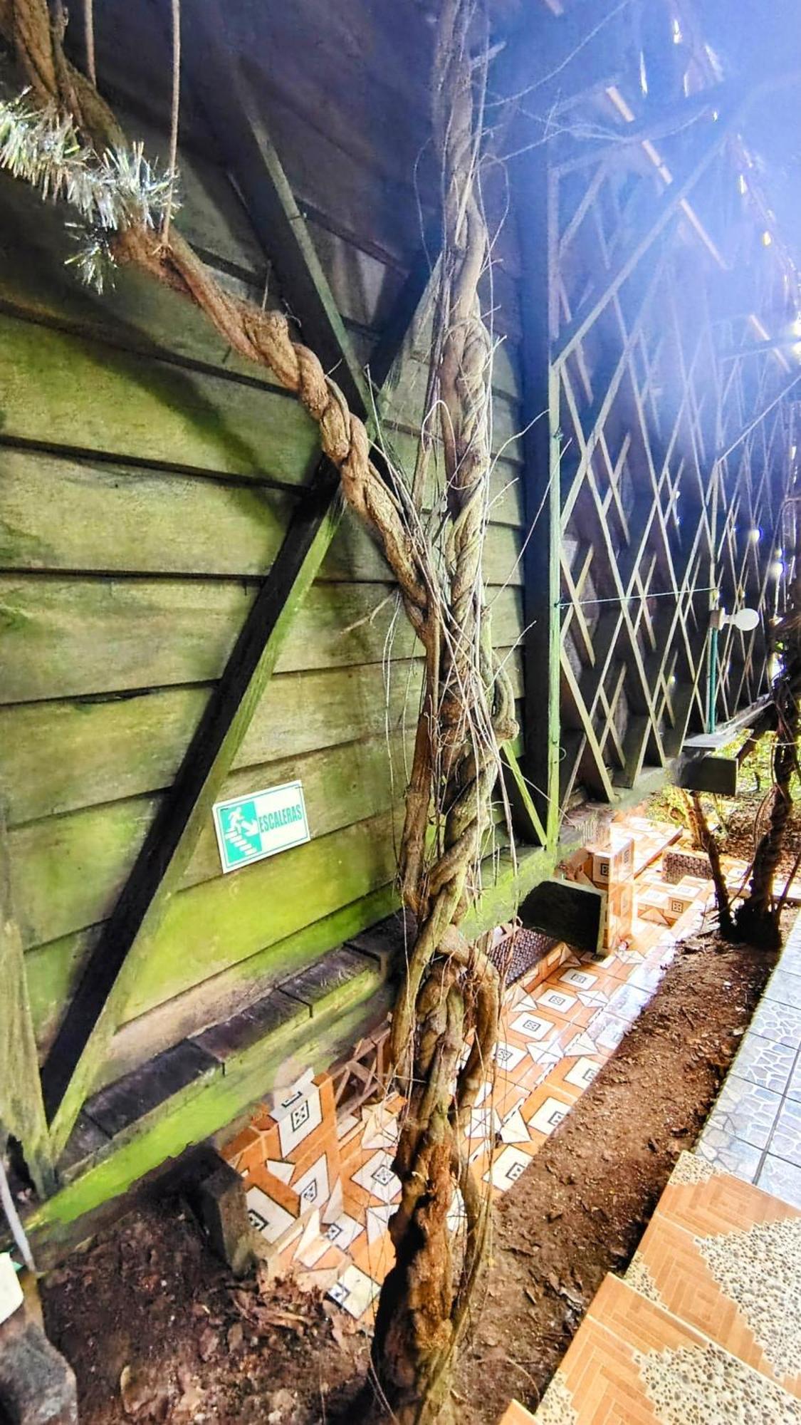 Хостел Ayahuasca Пуэрто-Наринио Экстерьер фото