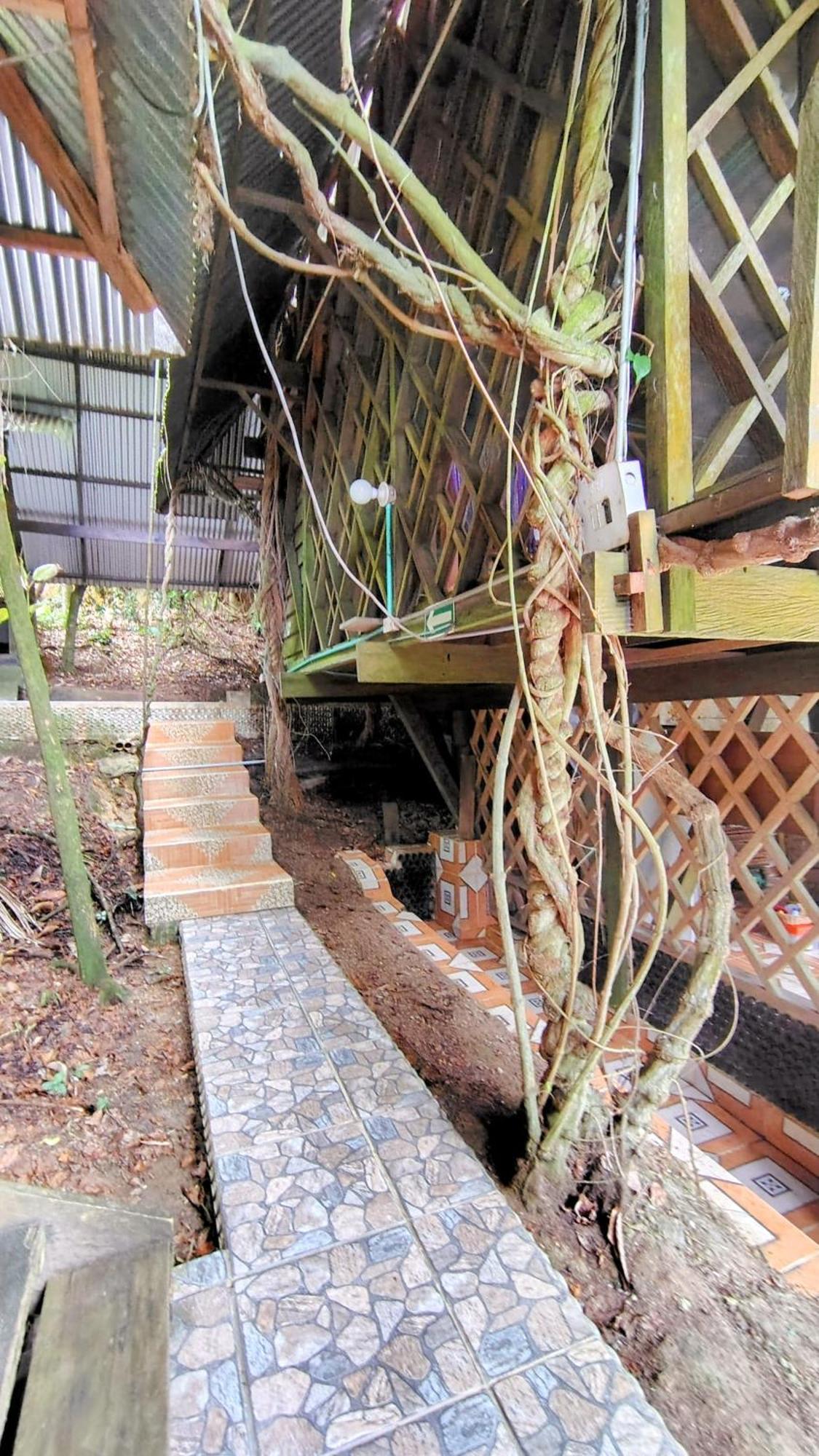 Хостел Ayahuasca Пуэрто-Наринио Экстерьер фото