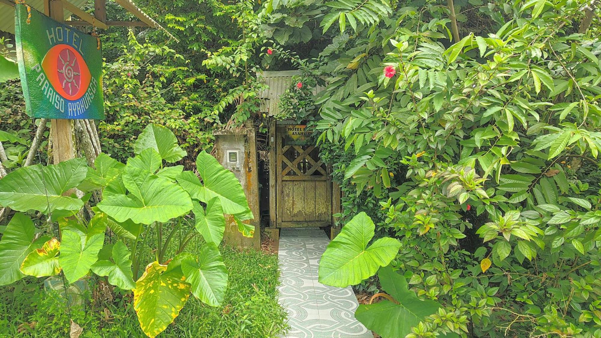 Хостел Ayahuasca Пуэрто-Наринио Экстерьер фото