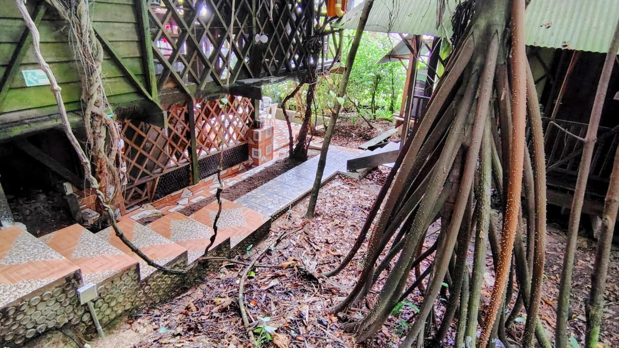 Хостел Ayahuasca Пуэрто-Наринио Экстерьер фото