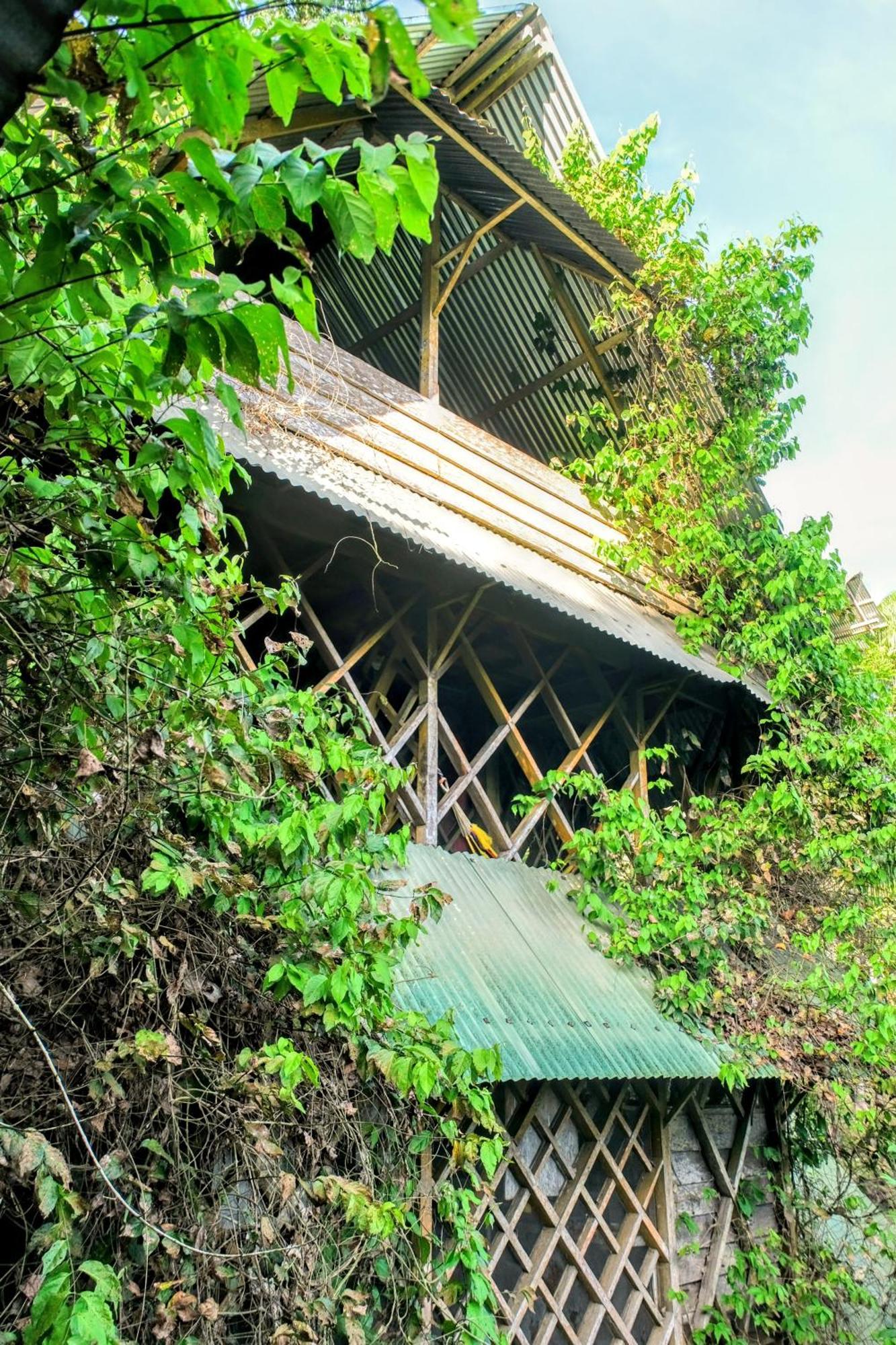 Хостел Ayahuasca Пуэрто-Наринио Экстерьер фото