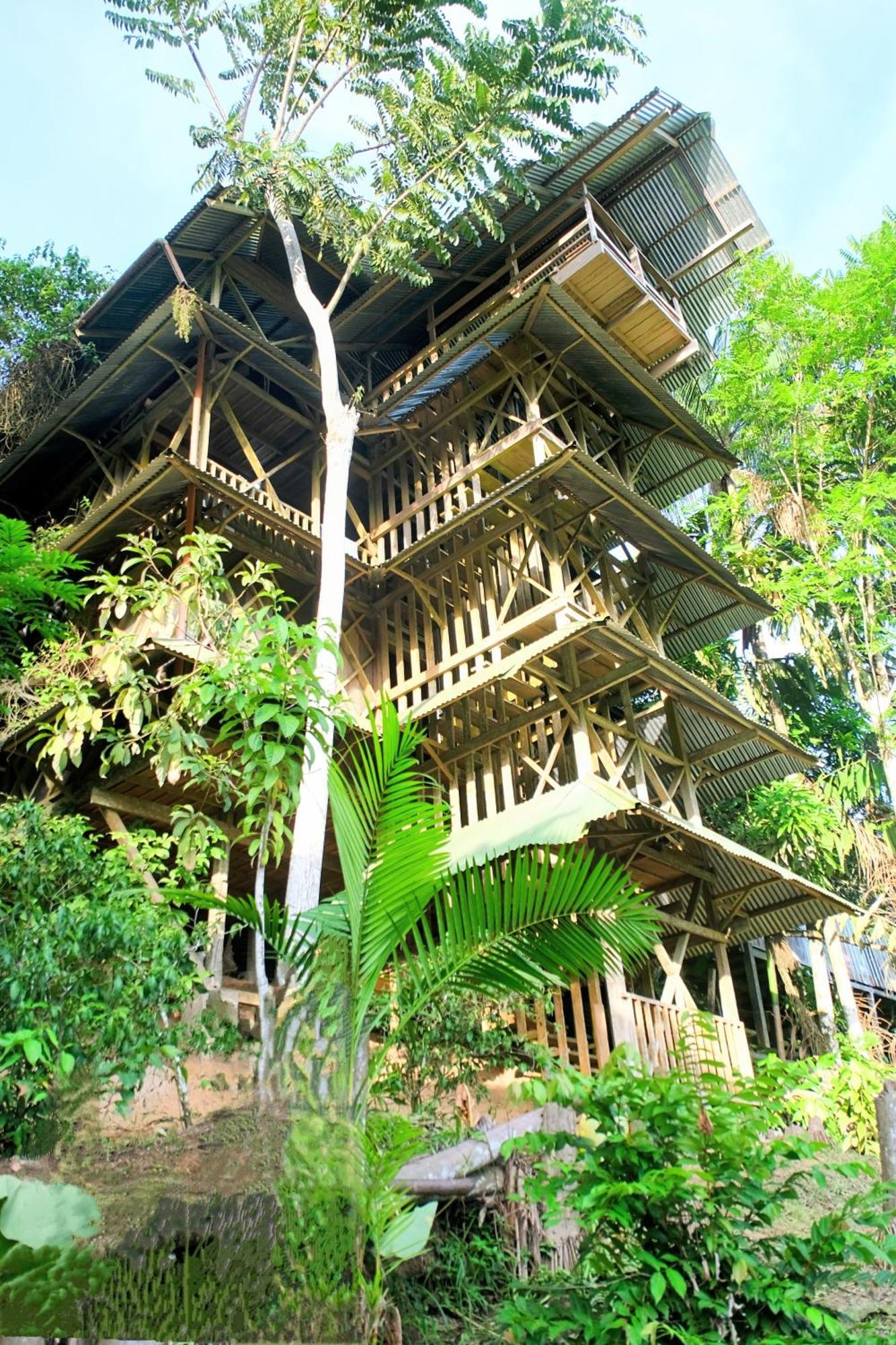Хостел Ayahuasca Пуэрто-Наринио Экстерьер фото