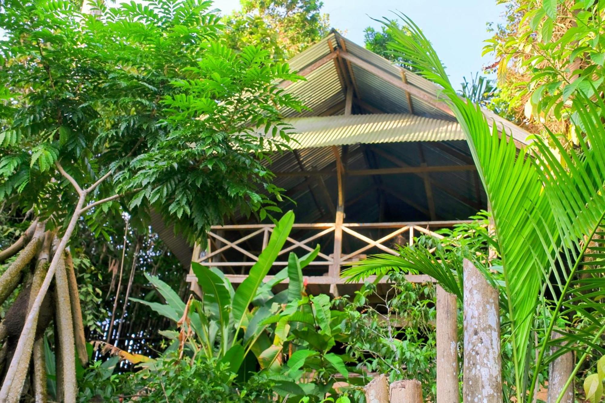 Хостел Ayahuasca Пуэрто-Наринио Экстерьер фото