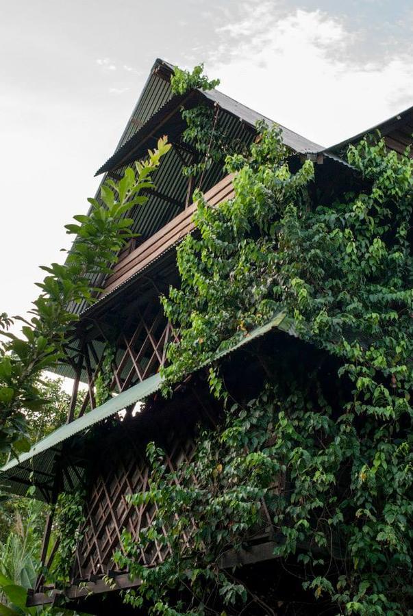 Хостел Ayahuasca Пуэрто-Наринио Экстерьер фото