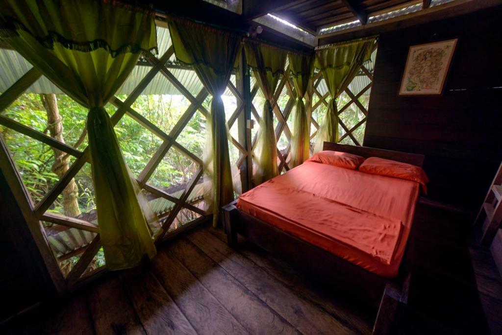Хостел Ayahuasca Пуэрто-Наринио Экстерьер фото
